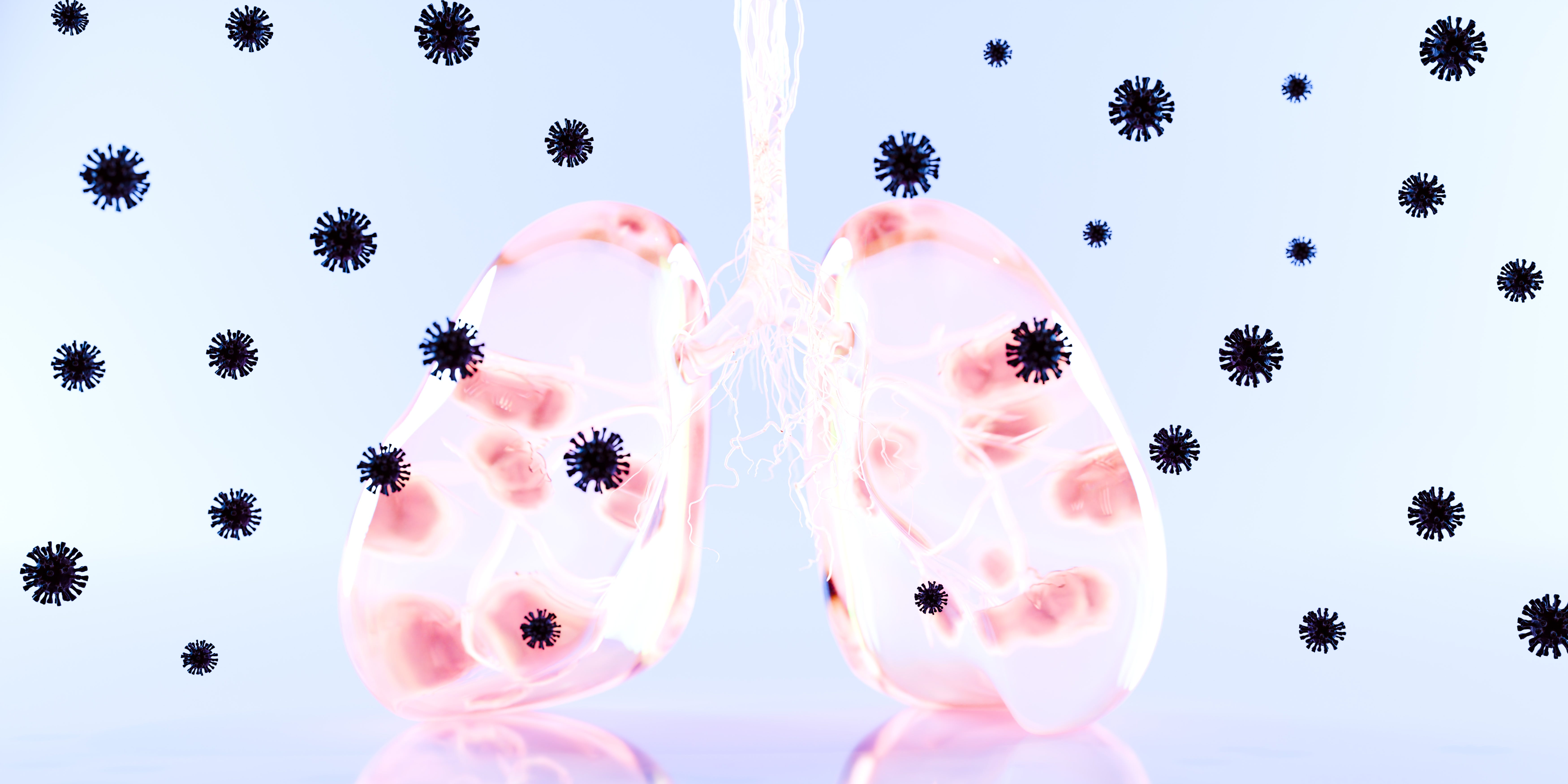 transparent human lungs with faint clots surrounded by virus symbols representing pulmonary disease and infection
