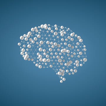 3d model of a brain structure represented by spheres and connected lines