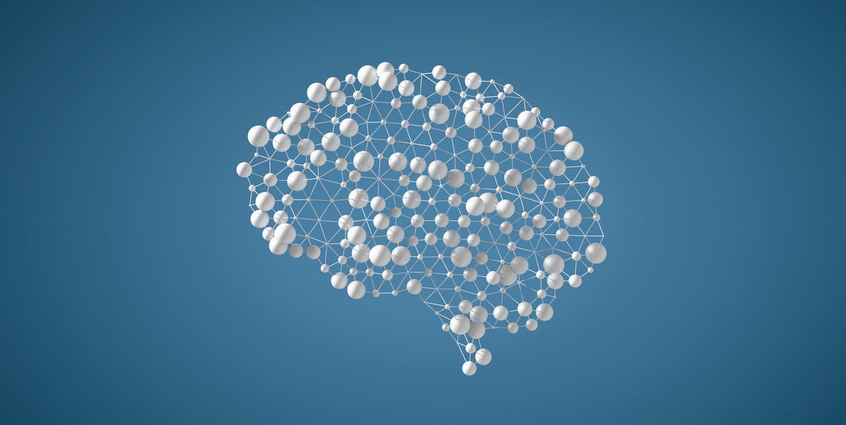 3d model of a brain structure represented by spheres and connected lines