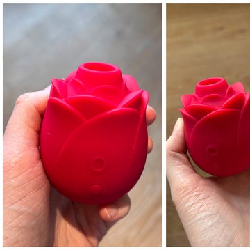 rose sex toy review