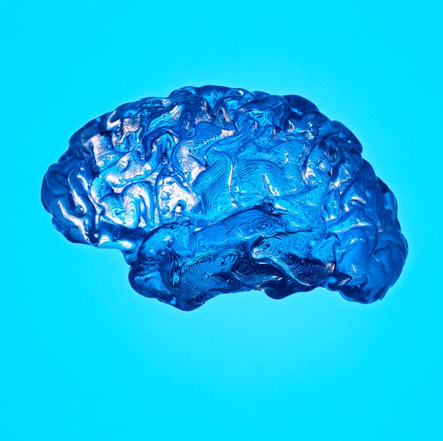 blue brainshaped object on a bright background